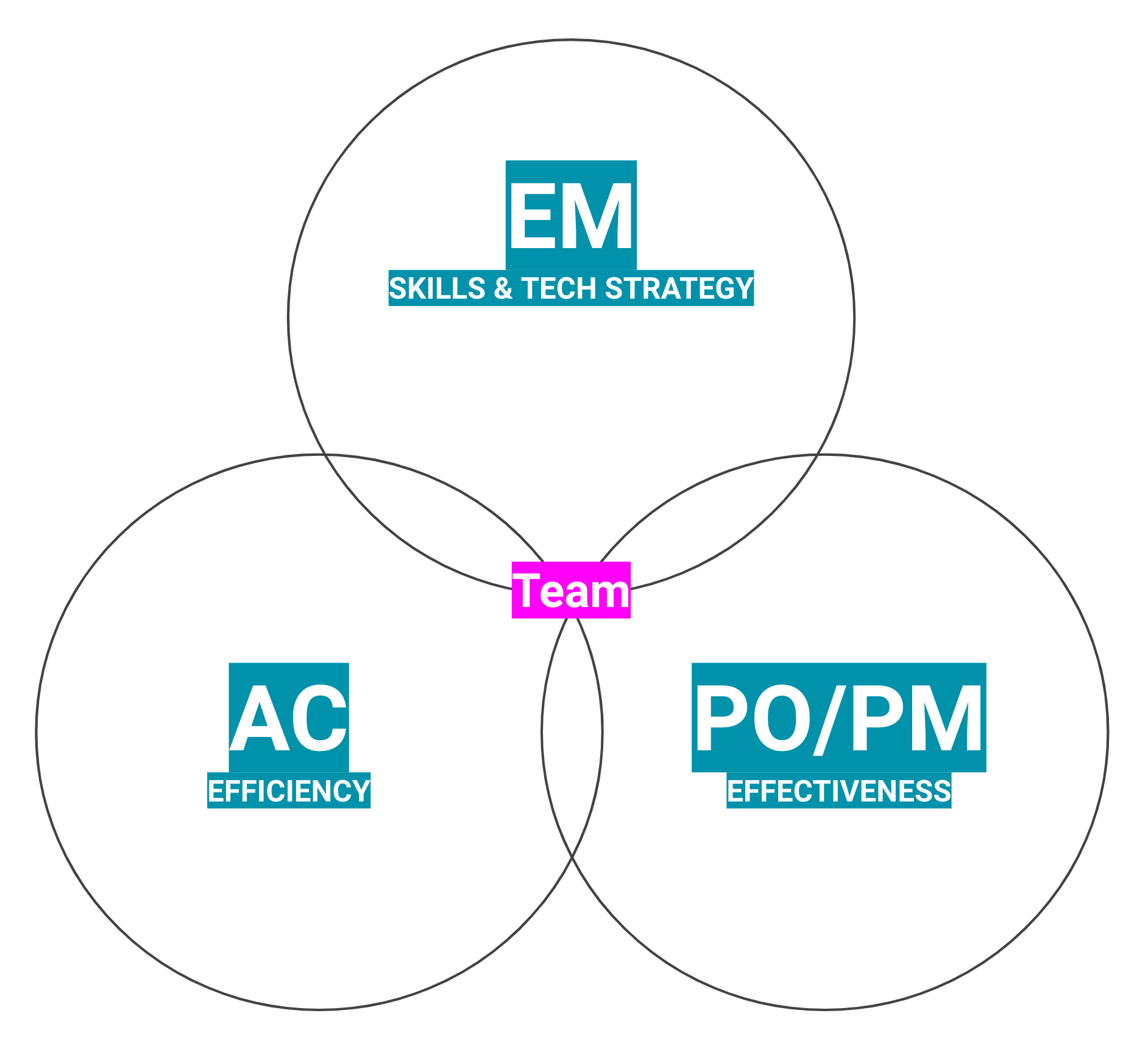 Structure within teams